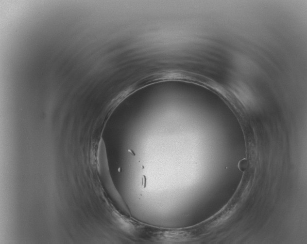 X0000068300857200604281708