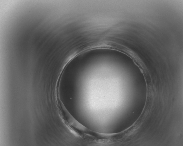 X0000068300858200604281708