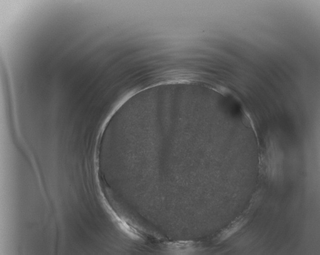 X0000068300859200604281708