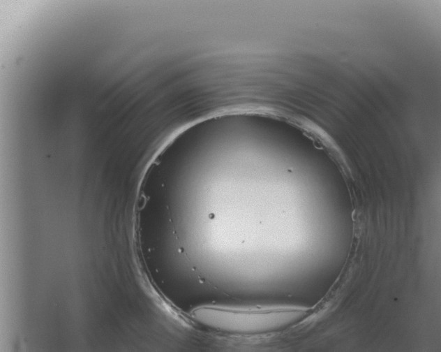 X0000068300860200604281708