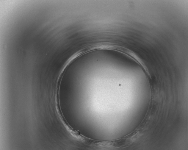 X0000068300861200604281708