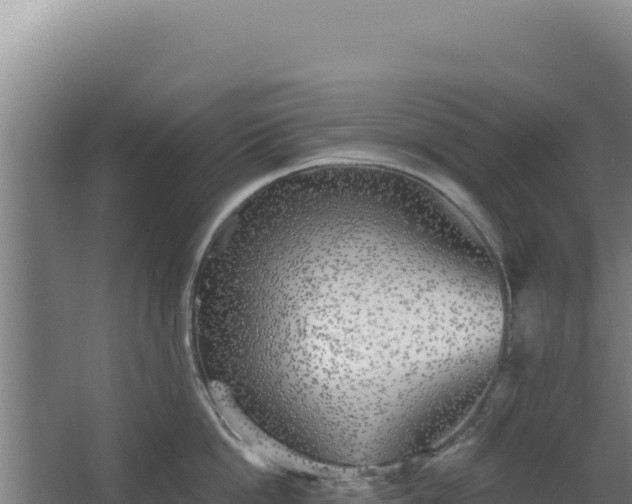 X0000068300862200604281708