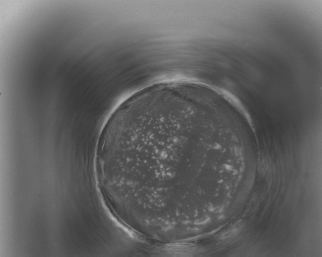 X0000068300863200604281708