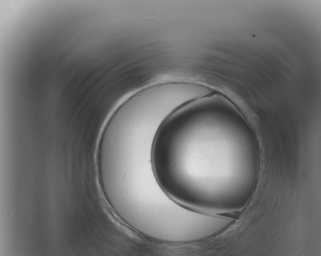 X0000068300864200604281708