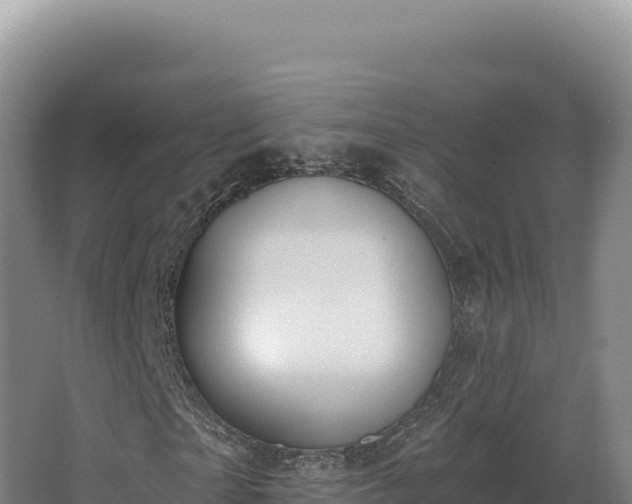 X0000068300865200604281707