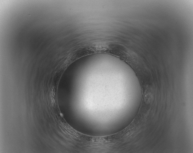 X0000068300866200604281707