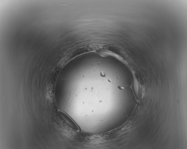 X0000068300867200604281707