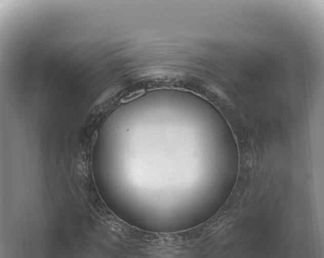 X0000068300869200604281707