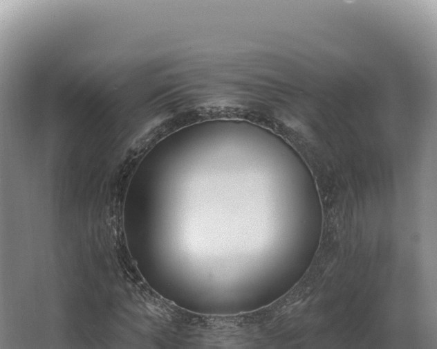 X0000068300870200604281707