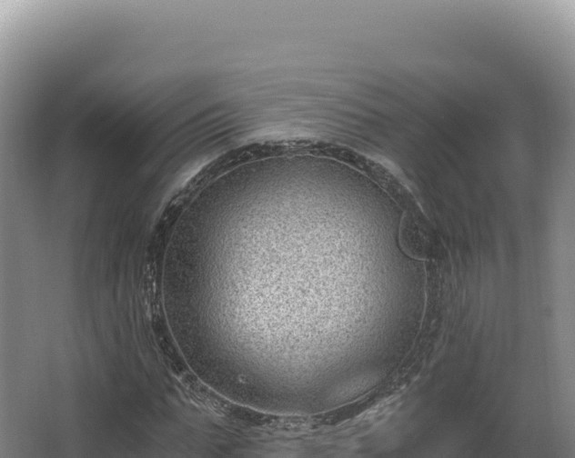 X0000068300871200604281707