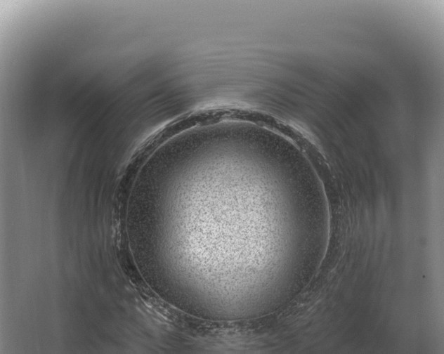 X0000068300872200604281707