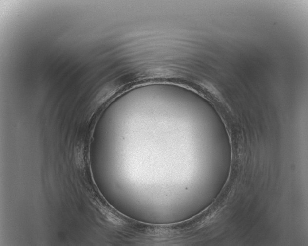 X0000068300873200604281707