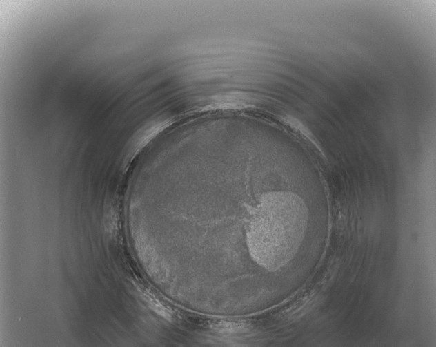 X0000068300874200604281707