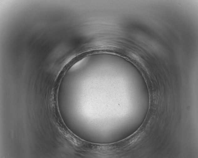 X0000068300875200604281707