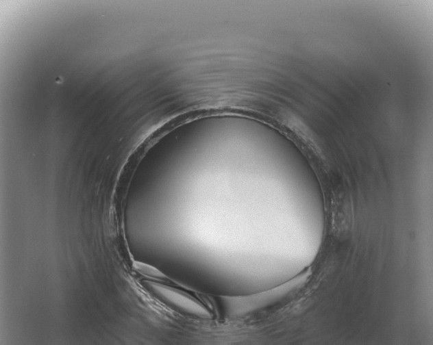 X0000068300876200604281707