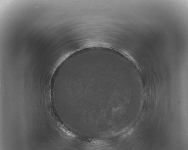 X0000068300877200604281707