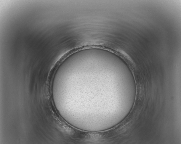 X0000068300878200604281707