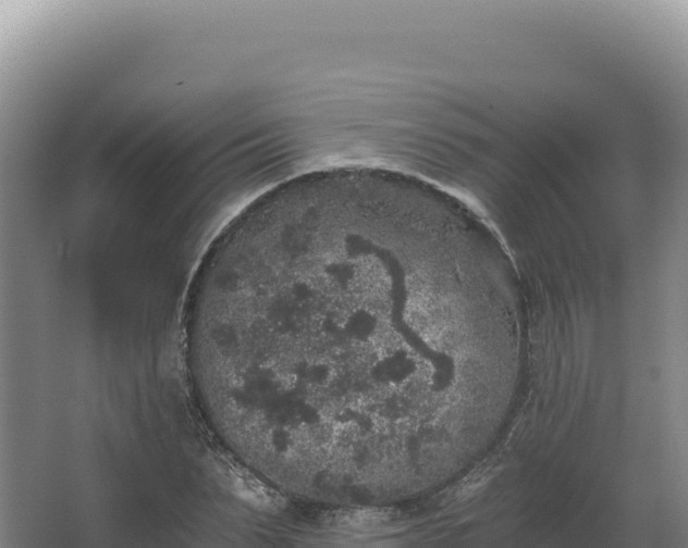 X0000068300879200604281707