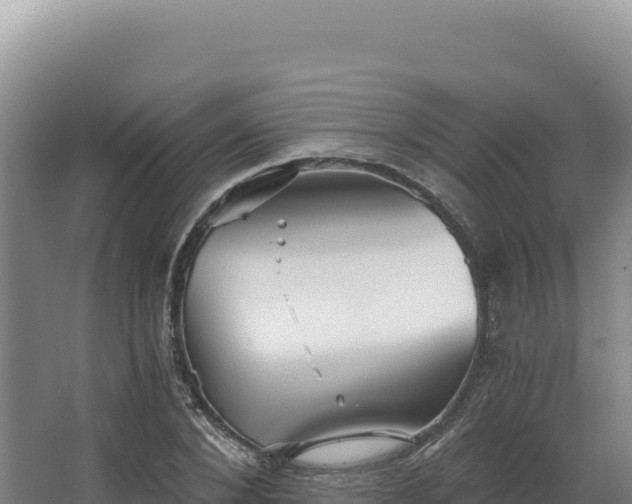 X0000068300880200604281707