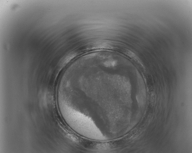 X0000068300882200604281707