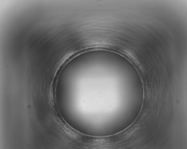 X0000068300883200604281707