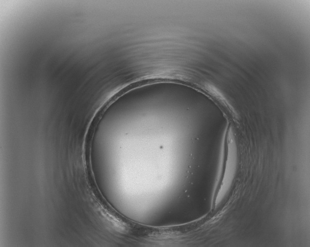 X0000068300884200604281707