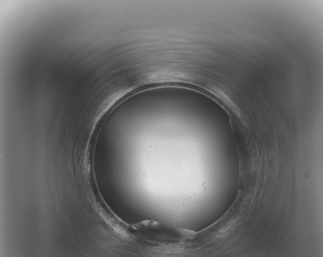 X0000068300885200604281706