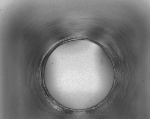 X0000068300886200604281706