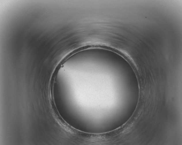 X0000068300887200604281706