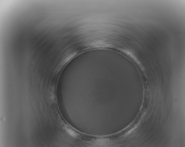 X0000068300889200604281706