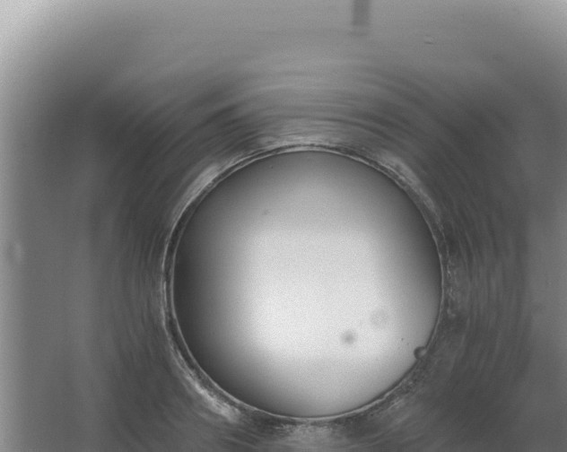 X0000068300890200604281706