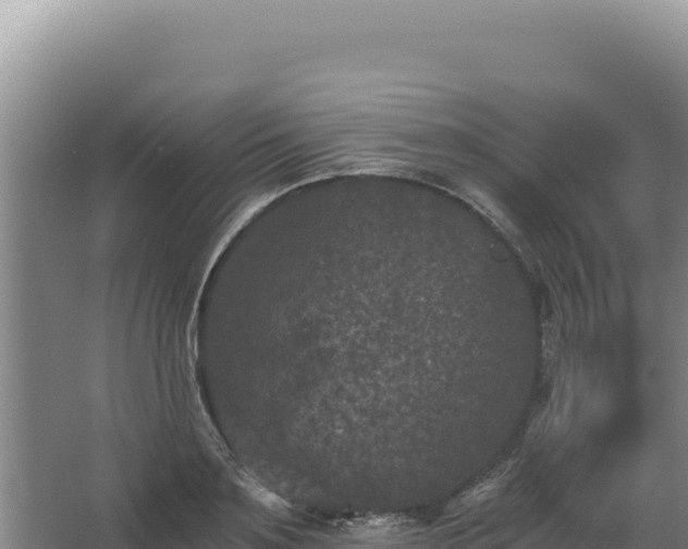 X0000068300891200604281706