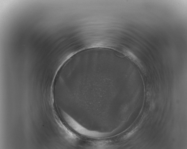 X0000068300892200604281706