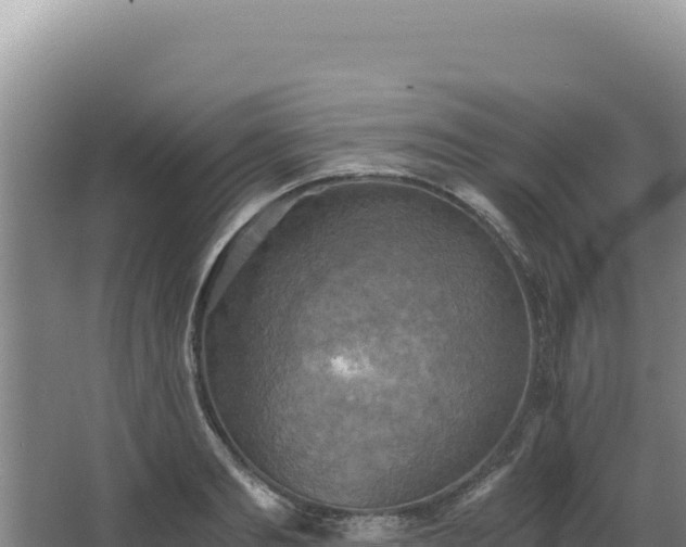 X0000068300893200604281706