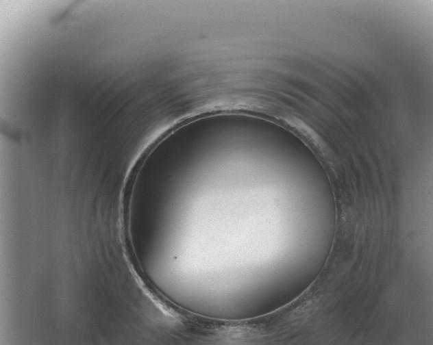 X0000068300894200604281706