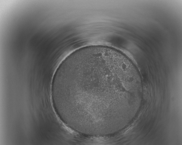 X0000068300895200604281706