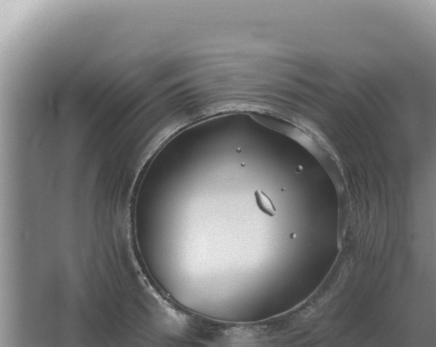 X0000068300898200604281706