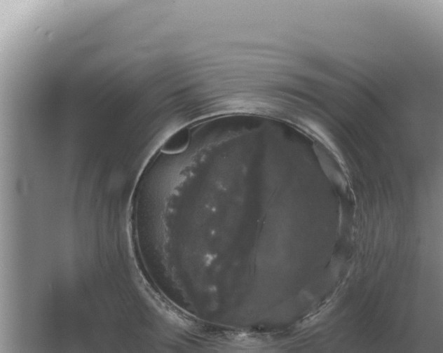 X0000068300899200604281706