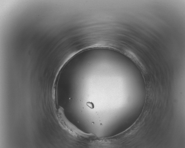 X0000068300900200604281706