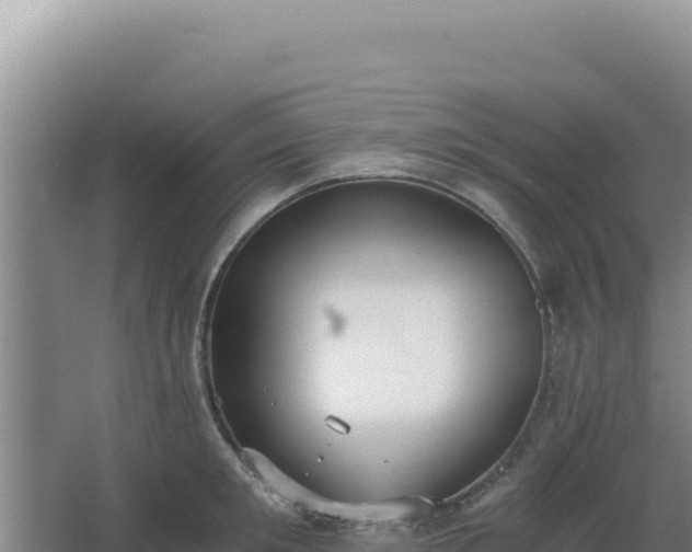 X0000068300901200604281706