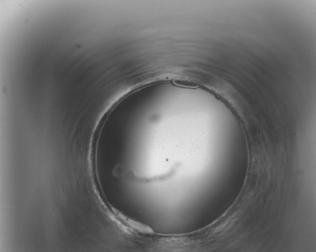 X0000068300902200604281706