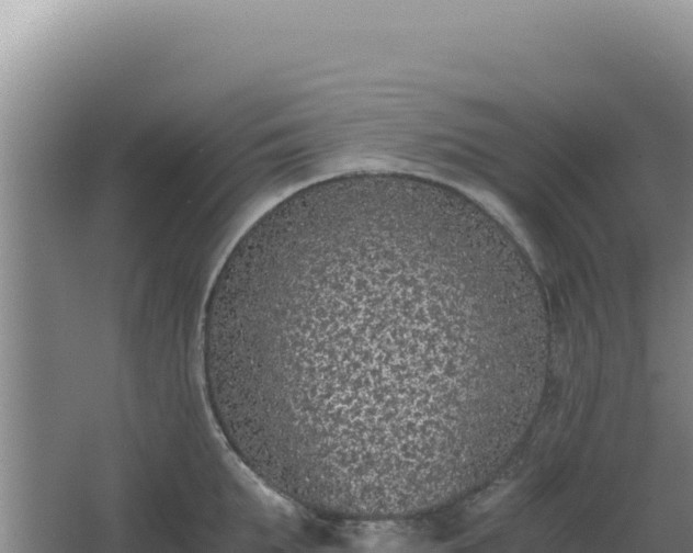 X0000068300903200604281706