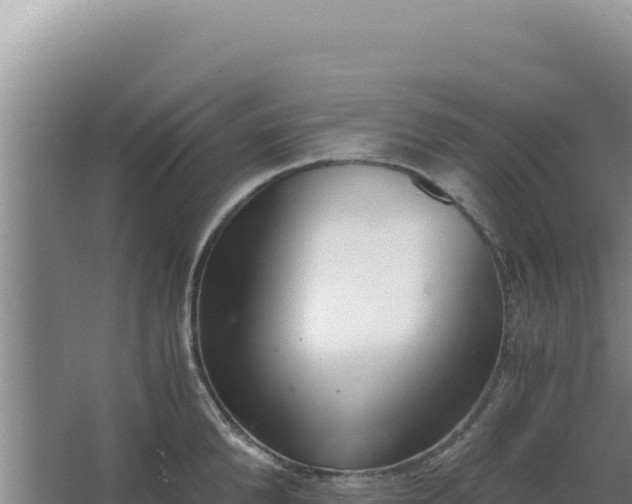 X0000068300904200604281706