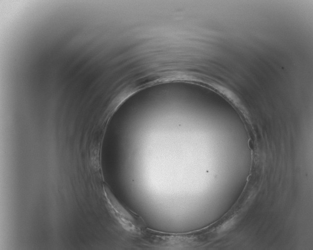 X0000068300905200604281706