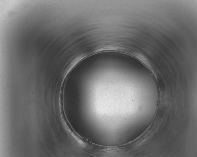 X0000068300906200604281706