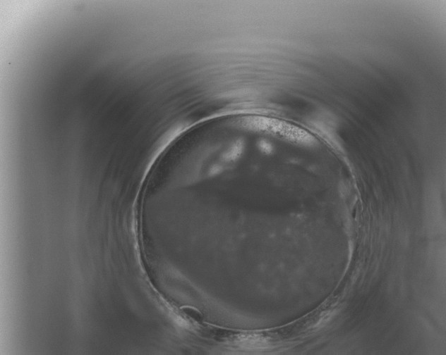 X0000068300907200604281706