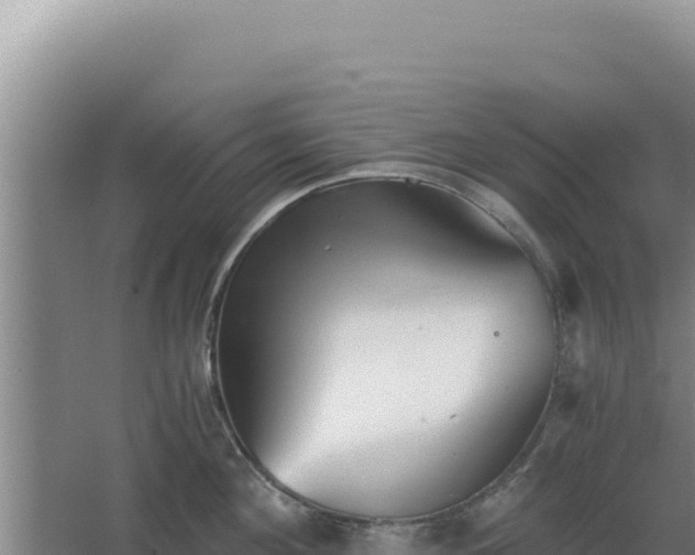 X0000068300908200604281706