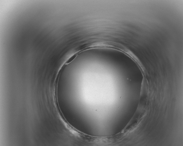 X0000068300909200604281706