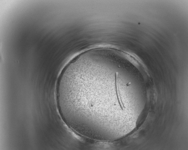 X0000068300910200604281706