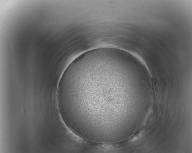 X0000068300911200604281706